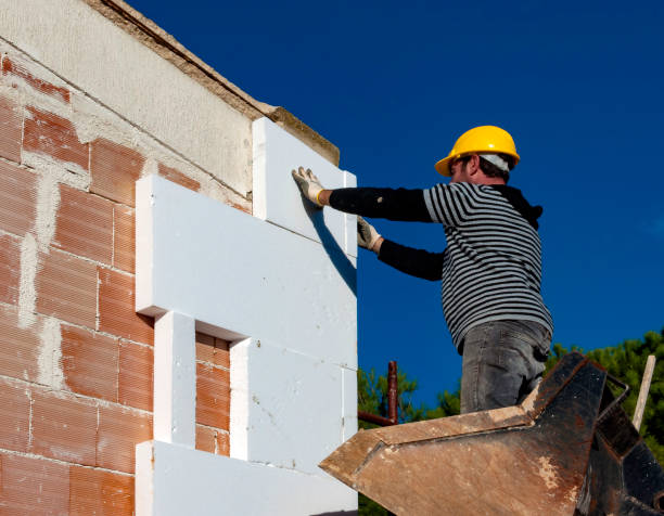 Best Cellulose Insulation in Avondale, AZ